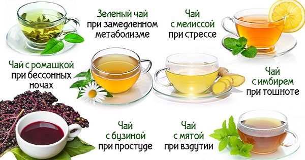 Полезные свойства Фиточая