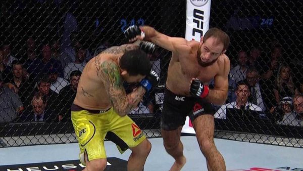 Как делать ставки на UFC?