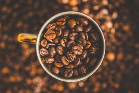 Зимой похудеть сложнее? Мнение экспертов