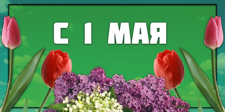 Смешные и веселые картинки поздравления с 1 мая