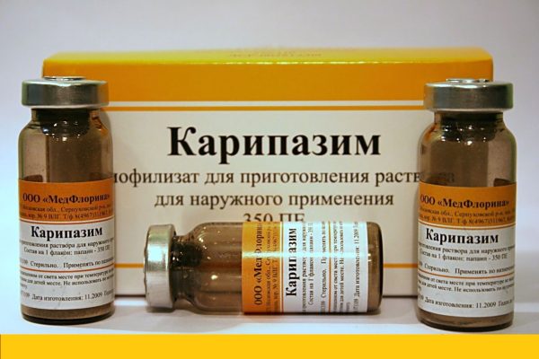 Методика электрофореза препарата Карипазим