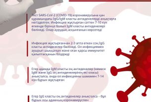 Что делать при положительном результате теста на антитела к коронавирусу