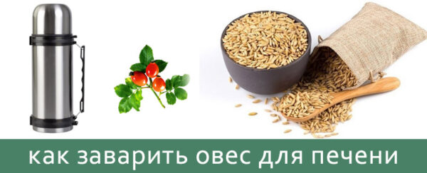 Как правильно заваривать и пить овес для печени?