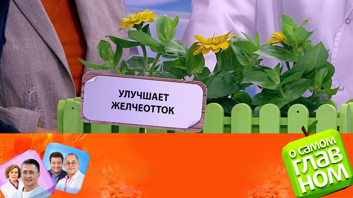 Летние травы – природный заряд здоровья на весь год