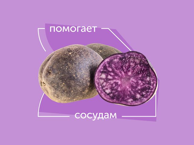 Чем полезна фиолетовая картошка