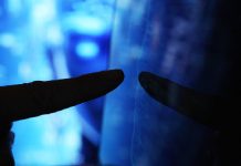 Эксперты сообщили о прорыве ИИ в диагностике рака почек