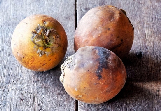 Эксперт Омаров: Жевание бетельного ореха приводит к раку полости рта