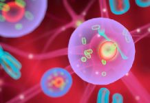 Ученые создали «биопортрет» раковой опухоли ротоглотки