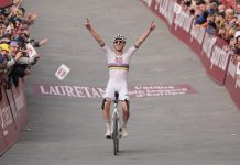 Сектор «Страде Бьянке» назван в честь Тадея Погачара