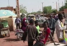 Посол Воропаев: РФ оптимистично оценивает партнерство с Нигером в энергетике