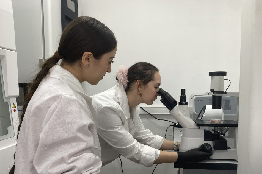 IJMS: гормон роста активирует белки, выкачивающие лекарства из клеток рака